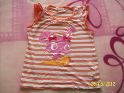 $101_2382.webp