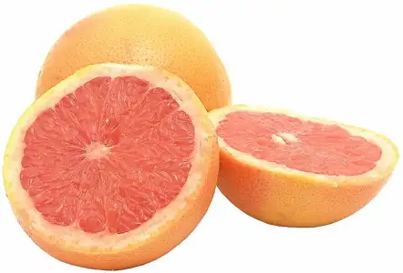 $536754_413537715334133_106050826082825_1268437_439464629_n.webp