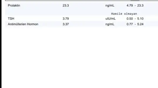 Screenshot_20210401_011309.webp