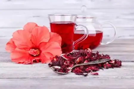 ebegumeci_cayi_en_iyi_zayiflama_cayi.jpg ebegumeci_cayi_en_iyi_zayiflama_cayi.jpg