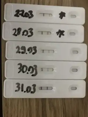 B42E2B18-7DAC-4DCD-B79B-FF51602E4892.webp