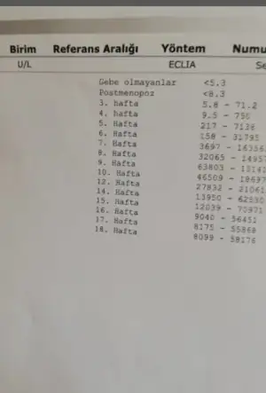 A33FBA48-20A0-4A9F-A92B-44460D186813.webp