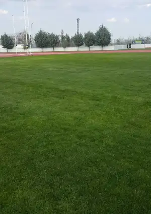 2021-04-04 16.43.20.webp