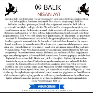 nisan aylık (12).webp