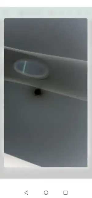 Negative Image_3571a29e-dbe6-4a84-b8a2-b4458ae9ec00.webp