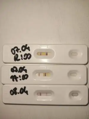 WhatsApp Image 2021-04-08 at 15.05.24.webp