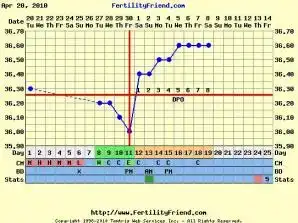 $chartgraph_8 JPG.webp