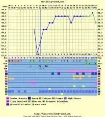 $ÖRNEK CHART JPG.webp