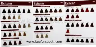 $exitenn_katalog_logo.webp