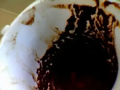 $Snapshot_20120528_2.webp
