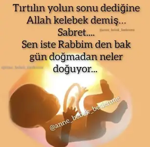 A54AA260-6AAF-441A-AA23-5B4C966AE428.webp