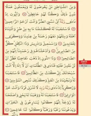 52A3319D-8B1C-49B1-AB14-E2D772D3FE94.webp