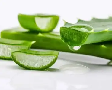 Ev Yapımı Aloe Vera Jel Yüz Serumu Tarifi İle Parlayan Ciltler