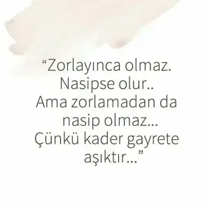 b8a9ad85ebd6a2ef73840af2fb09f6f0.webp