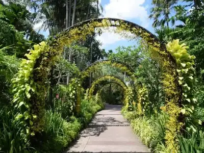 Singapur Botanik Bahçeleri.webp