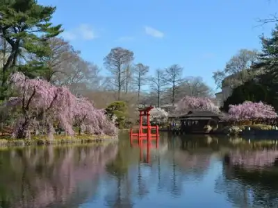 Brooklyn Botanik Bahçesi.webp