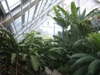 Ljubljana Botanik Bahçesi.webp