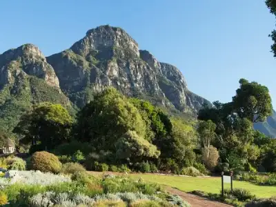 Kirstenbosch Ulusal Botanik Bahçesi.webp