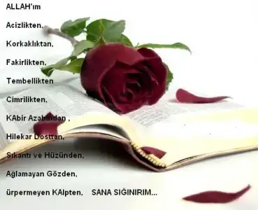 $resimliguzelsozler13.webp