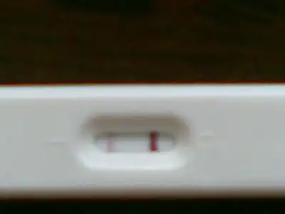$31052012.webp