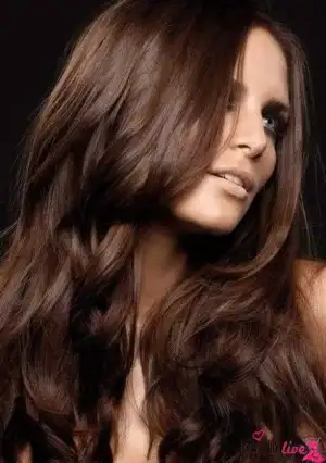 images.webp