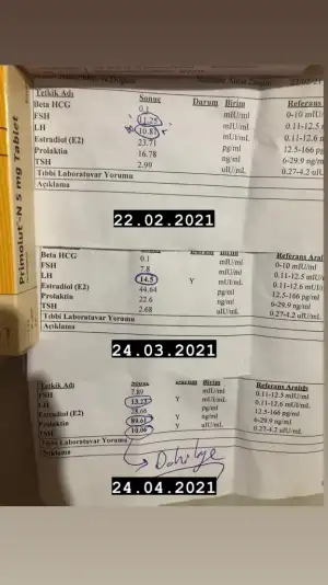 23A50B35-A2CF-46FE-811F-8A93E488E32B.webp