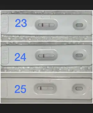 6E6CD003-EC05-44B2-B866-3447884171CC.webp