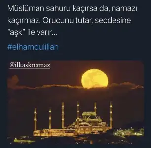 F0A464E5-65DE-48C3-A4DD-974C77BA794A.webp F0A464E5-65DE-48C3-A4DD-974C77BA794A.webp