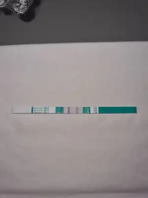 16199534733556034652774771329236.webp