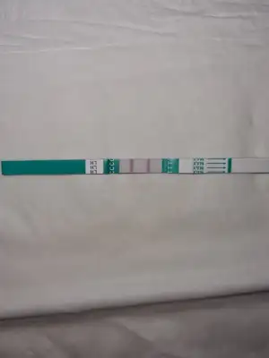 16200470396188849143252700196163.webp