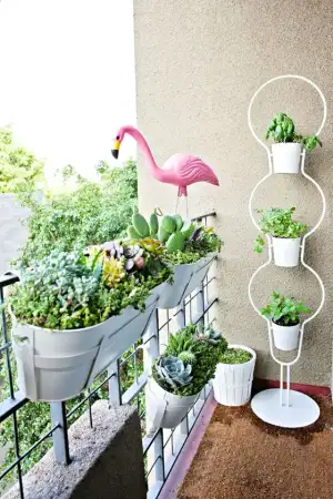 balkon_bahce_cicek_sebze_yetistiriciligi.webp