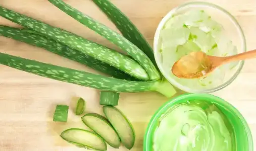 cilek_bacak_aloe_vera_jeli.jpg cilek_bacak_aloe_vera_jeli.jpg