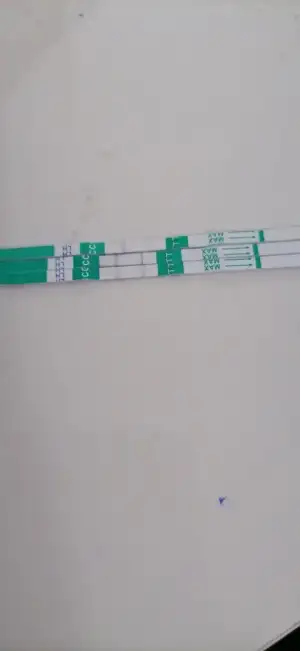 IMG-20210504-WA0006.webp