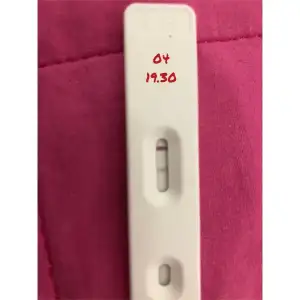 AAA3144B-2EC4-4E34-8438-9D524957E807.webp