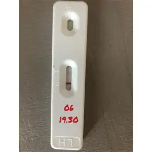 EC8018CB-C8DE-4998-BE50-125E98BDB653.webp