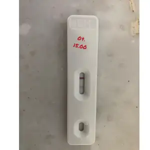 6461FCDE-2CB5-4447-840D-5EB976558EC3.webp