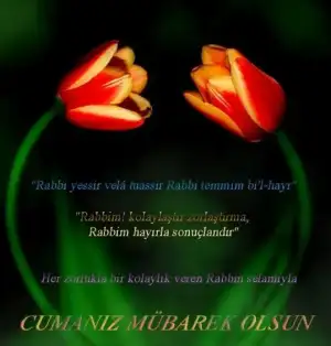 $hay&#305;rl&#305; cumalar.webp