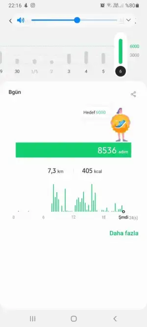Screenshot_20210506-221652_Samsung Health.webp