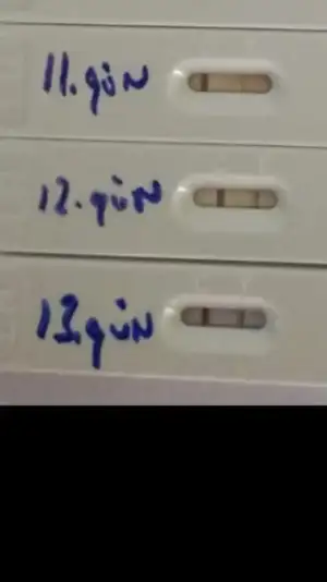 Screenshot_20210508-232145.webp
