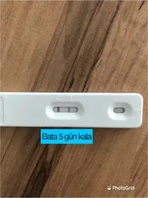 90F8F8E0-711F-468B-B5E0-9C0E9995BA84.webp