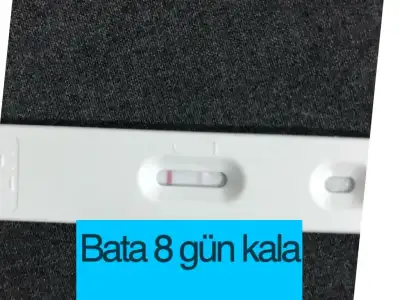 83BDBD50-775B-4C0B-AC42-02884C68F9D1.webp