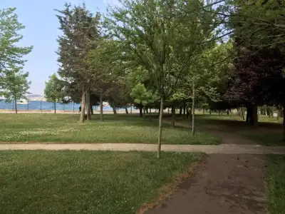 25880B93-81C4-4010-90E3-D449C46EE8BC.webp
