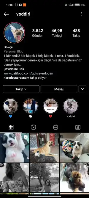 Screenshot_2021-05-19-10-03-26-043_com.instagram.android.webp