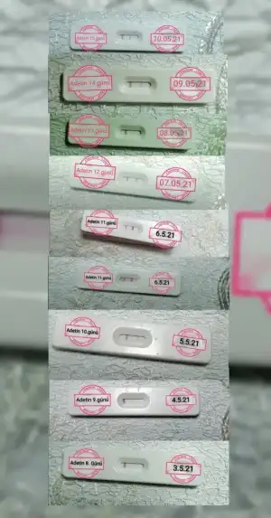 CollageMaker_20210510_184254482_resized_20210522_092935788 (1).webp