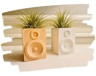 aloevera_ciceklik_modelleri.webp