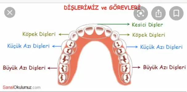 72CE2984-0DB5-480C-A033-75284B525F6D.webp