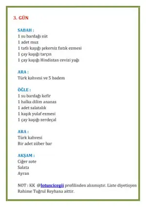 SMOOTHİE DİYETİ 3 GÜN - 0003.webp