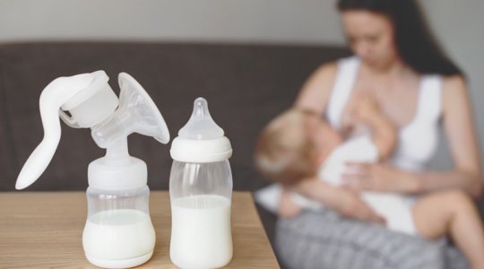 Anne Sütünü Artıran En İyi 15 Laktojenik Gıda