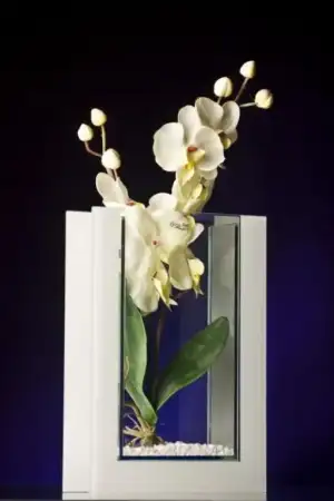 $Vase-Orchidee-Blumen-Deko-Weiss-28x20-cm.webp