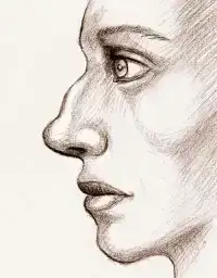 $B1237505547.webp